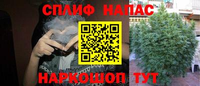 амф Краснознаменск