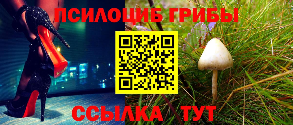 Псилоцибиновые грибы мухоморы Каспийск