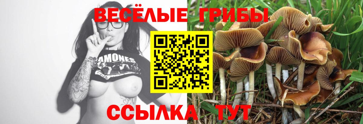 Псилоцибиновые грибы Psilocybine cubensis  Галлюциногенные грибы GOLDEN TEACHER  Каспийск  где найти наркотики  Вход с VPN 